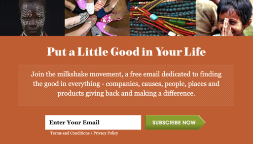 Example of email newsletter from Milkshake