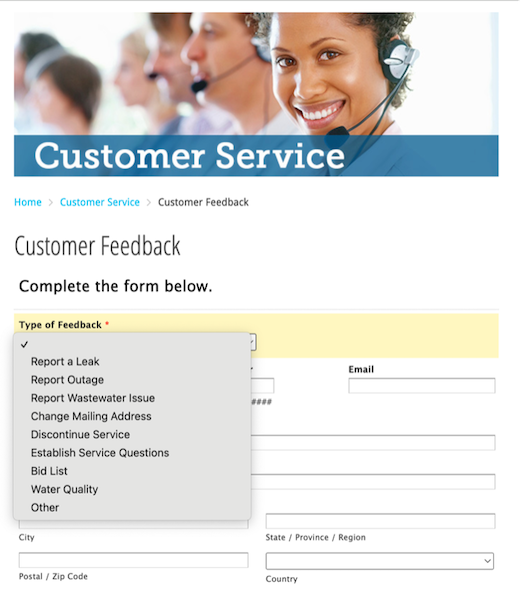 Example of online tool used to improve public power customer service