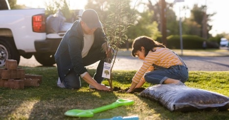 Image of people planting a tree to lower energy costs