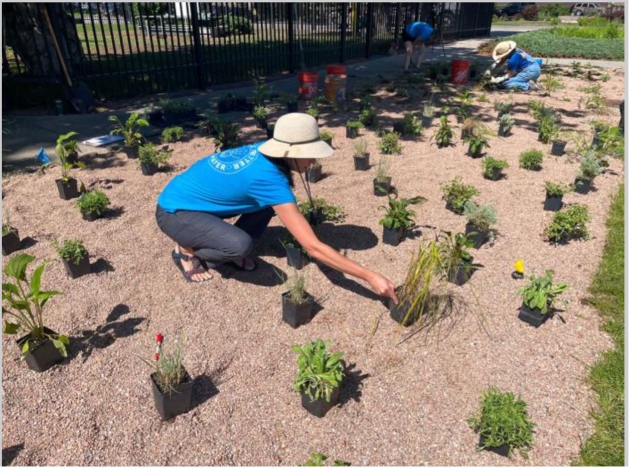 Denver Water Landscape Transformation Planting