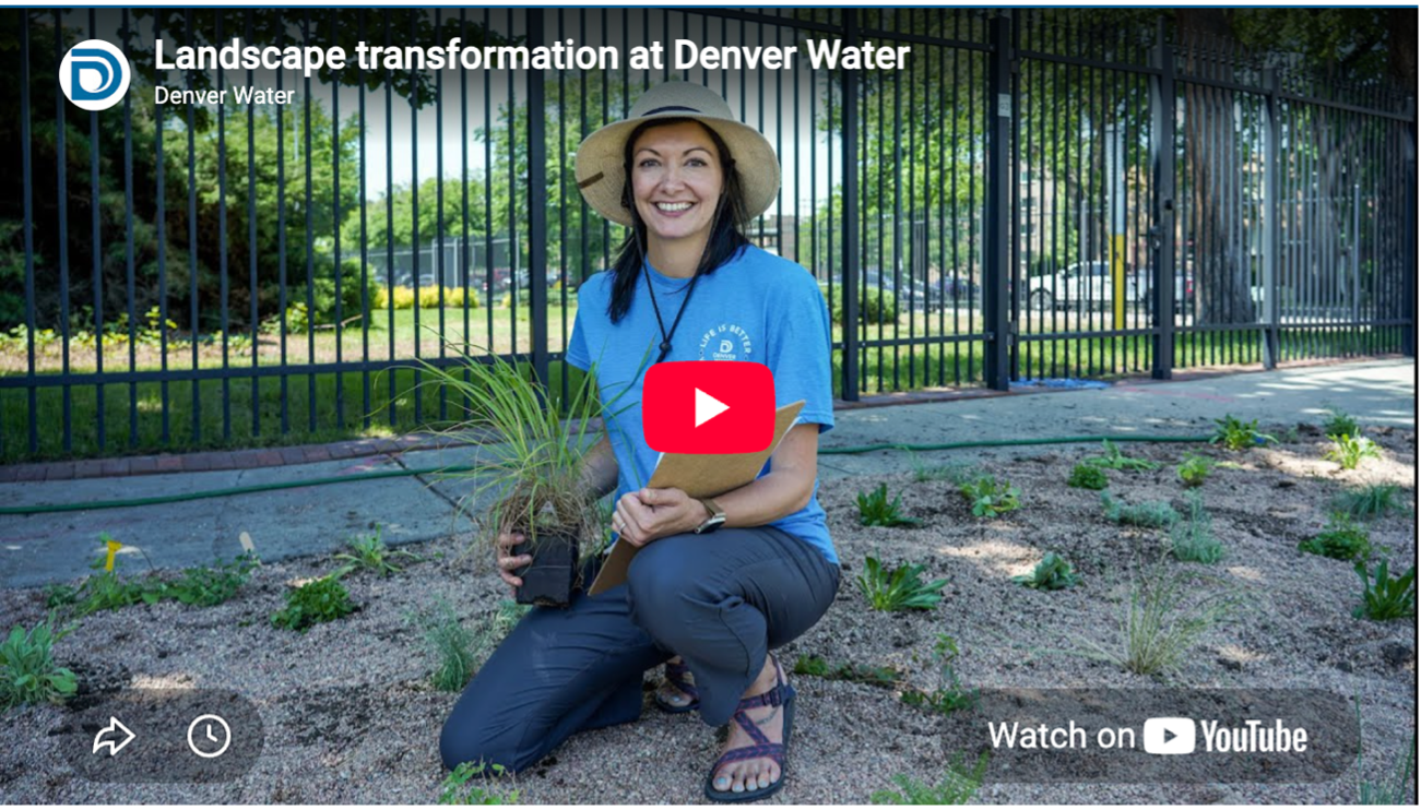 Denver Water Landscape Transformation